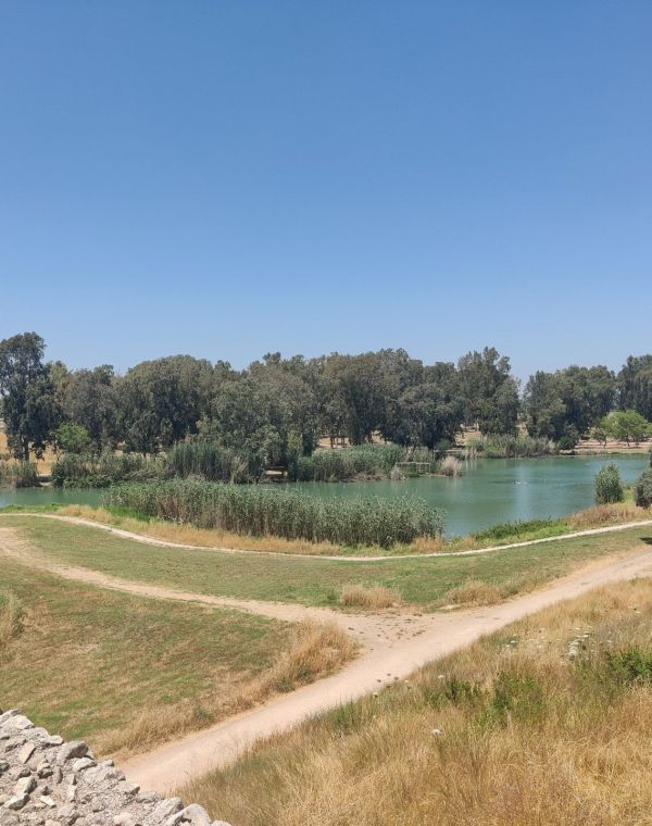 תמונה של פארק אפק ומבצר אנטיפטריס - למטייל בישראל (טיולי)